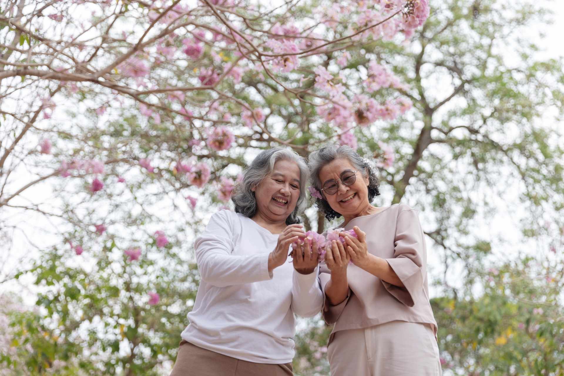 Two senior women enjoying the petals of a cherry blossom tree.
